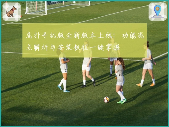 虎扑手机版全新版本上线：功能亮点解析与安装教程一键掌握